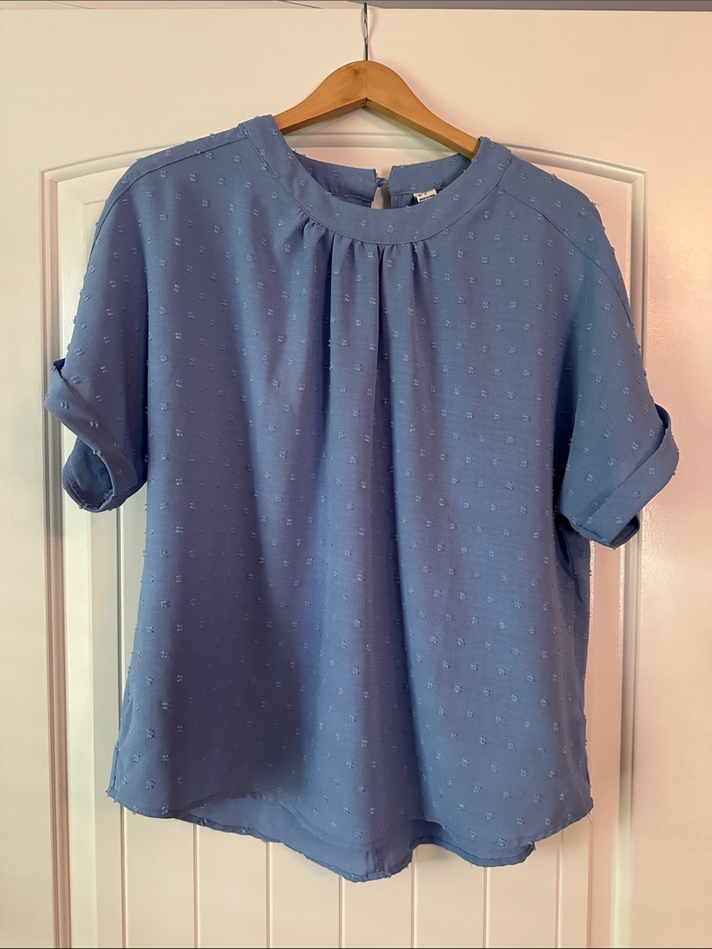 Light Blue Swiss Dot Crewneck Blouse - Women